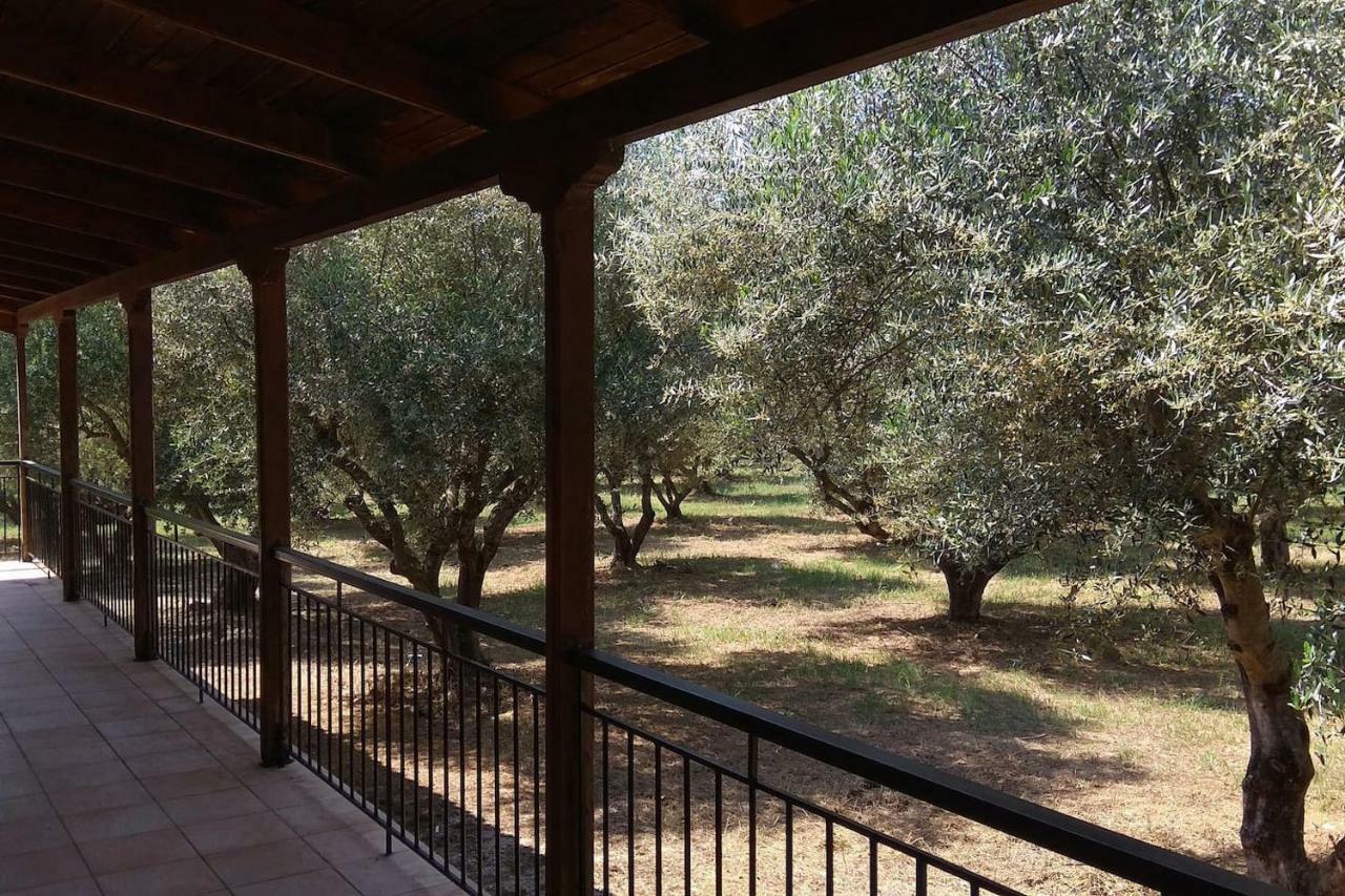 Mallios Home Floka Close To Ancient Olympia Flokas Exterior photo